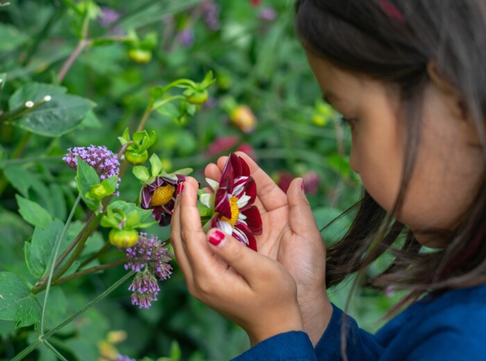 2025 National Chemistry Week: Powering K-12 STEM Stars