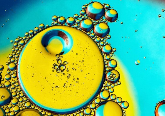 2026 Economic Outlook